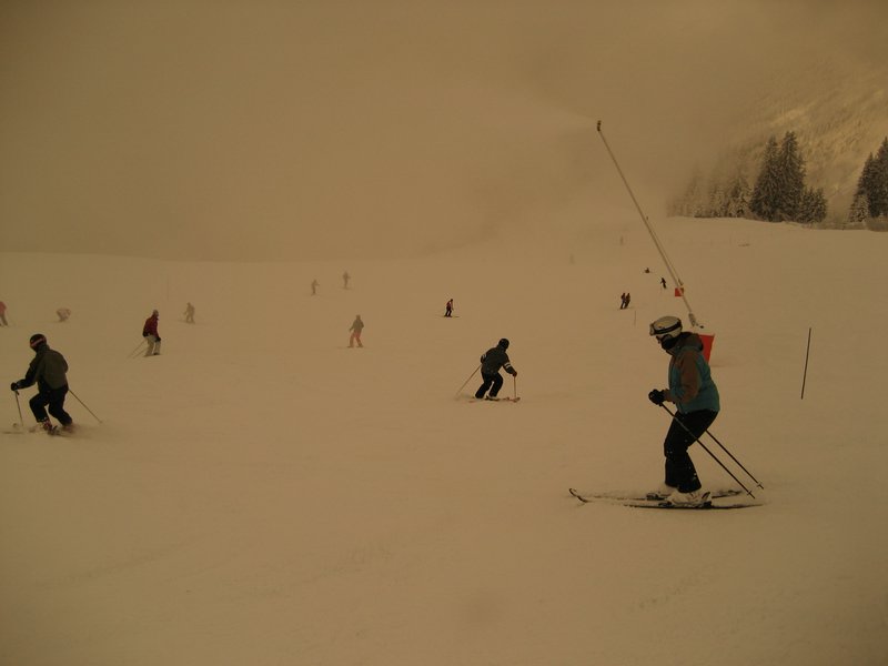 IMG_0709.jpg