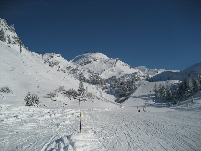 IMG_0747.jpg
