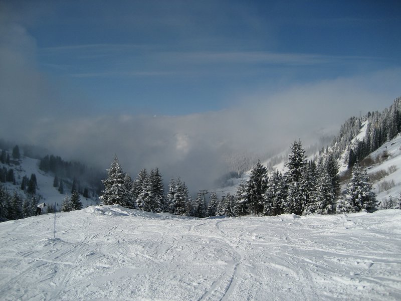 IMG_0749.jpg