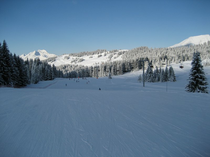 IMG_0780.jpg