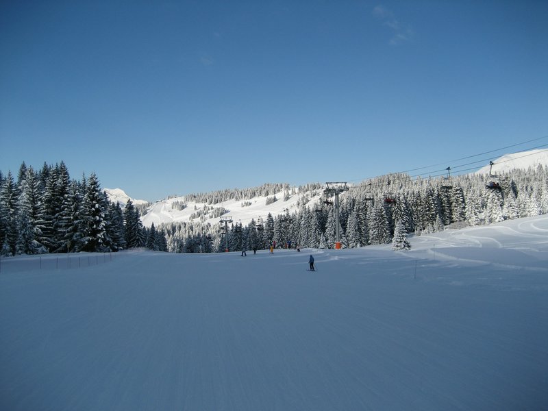 IMG_0782.jpg