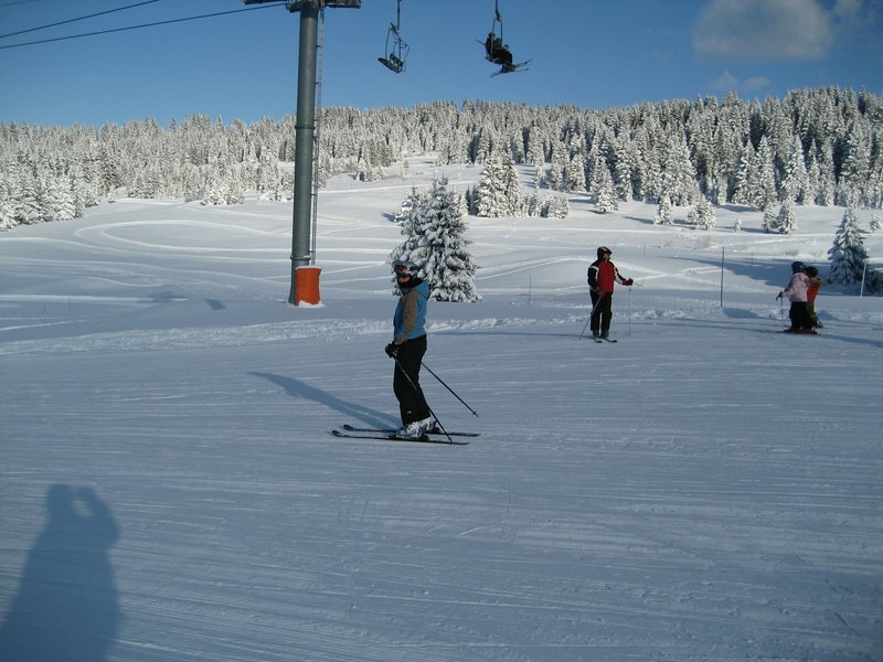 IMG_0784.jpg