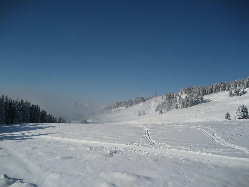 IMG_0785.jpg