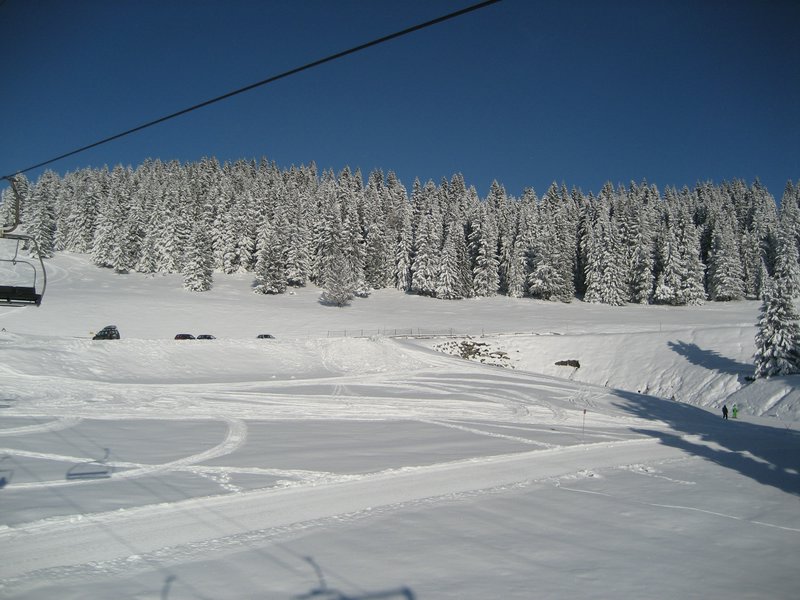 IMG_0786.jpg
