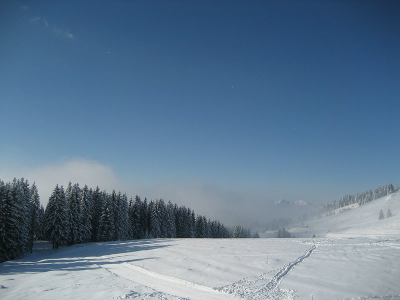 IMG_0787.jpg