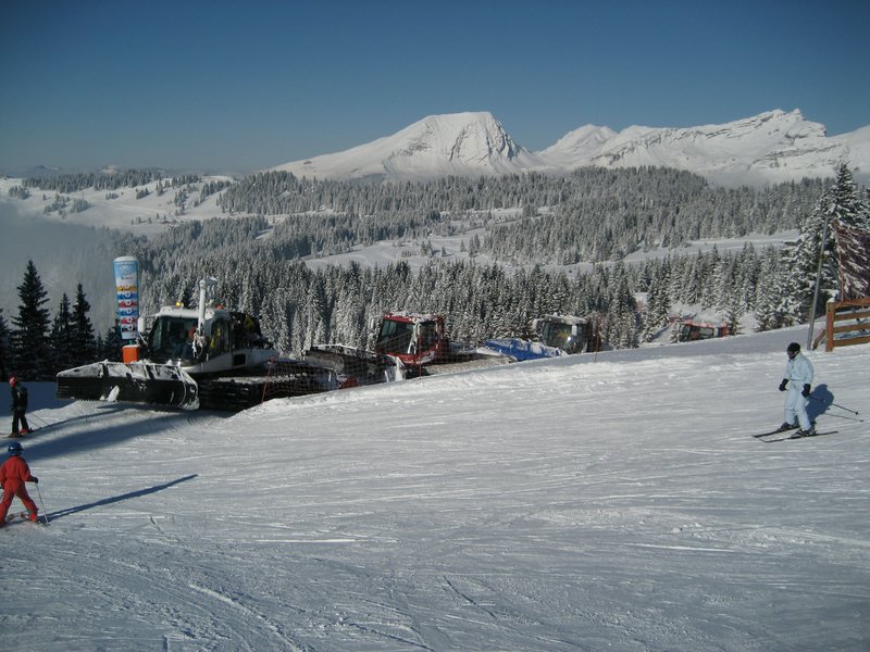 IMG_0792.jpg
