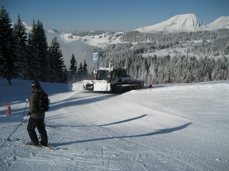 IMG_0798.jpg