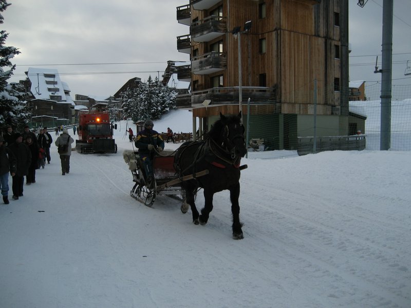 IMG_0811.jpg