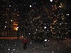 IMG_0683.jpg