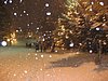 IMG_0687.jpg