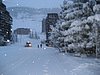 IMG_0698.jpg