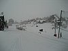 IMG_0700.jpg