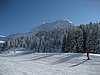 IMG_0750.jpg