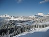 IMG_0775.jpg