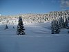 IMG_0781.jpg