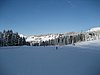 IMG_0782.jpg