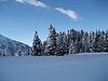 IMG_0783.jpg