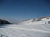 IMG_0785.jpg