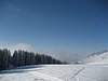 IMG_0787.jpg