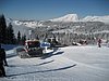 IMG_0794.jpg