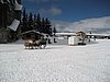IMG_0828.jpg