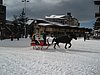 IMG_0829.jpg