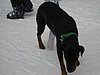 IMG_0833.jpg