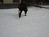 IMG_0834.jpg