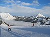 IMG_5050.jpg