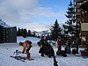 IMG_5071.jpg