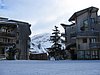 IMG_5073.jpg