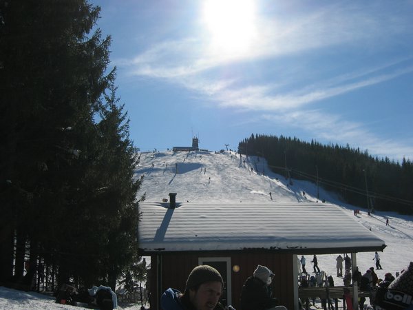 IMG_3108.JPG