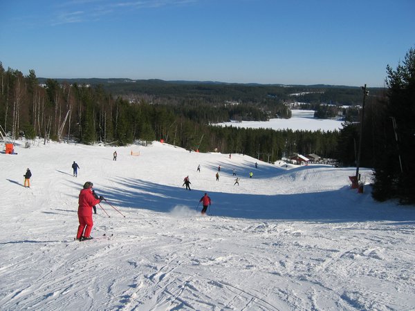 IMG_3118.JPG