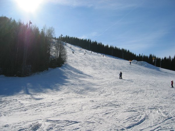 IMG_3120.JPG