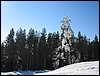 IMG_3101.JPG
