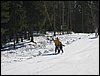 IMG_3102.JPG