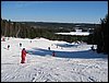 IMG_3118.JPG