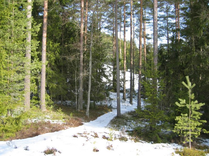 isaberg01-36.jpg