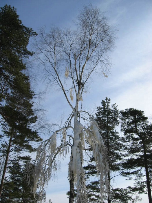 isaberg01-40.jpg