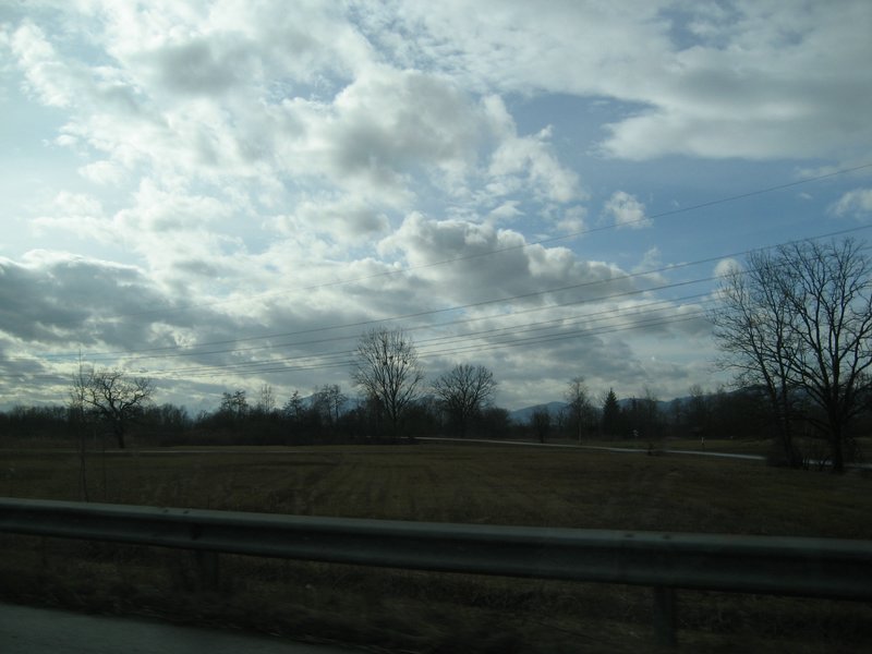 IMG_4553.JPG