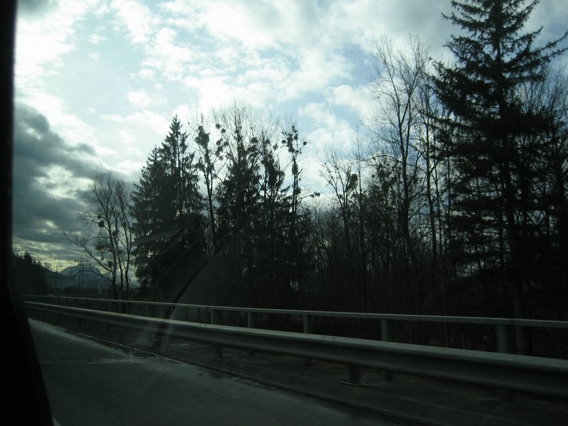 IMG_4556.JPG