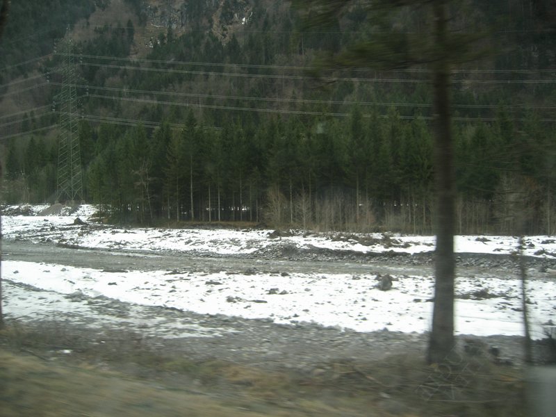 IMG_4563.JPG