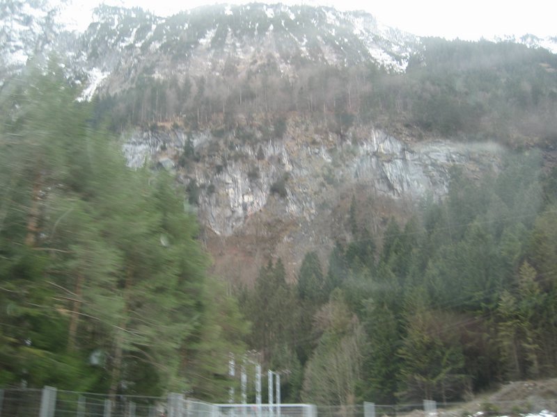 IMG_4564.JPG