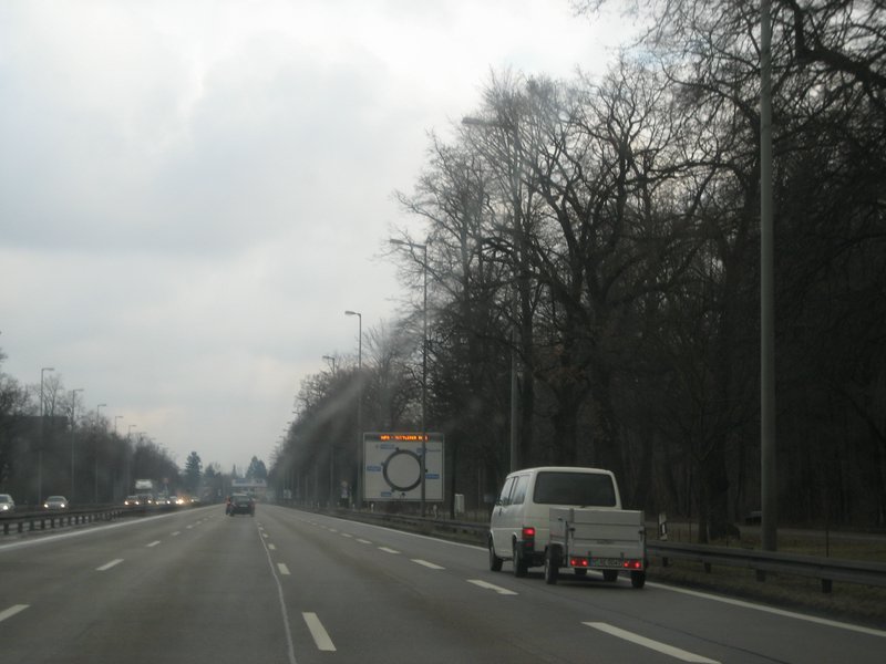 IMG_4845.JPG