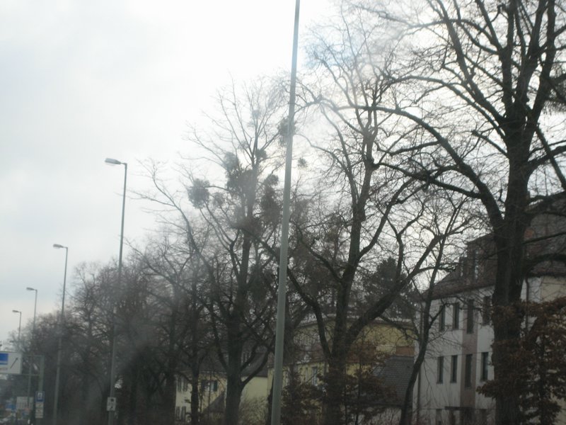 IMG_4849.JPG