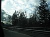 IMG_4556.JPG