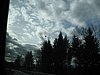 IMG_4558.JPG