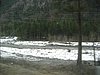 IMG_4563.JPG