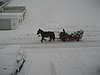 IMG_4730.JPG