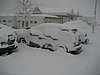 IMG_4731.JPG